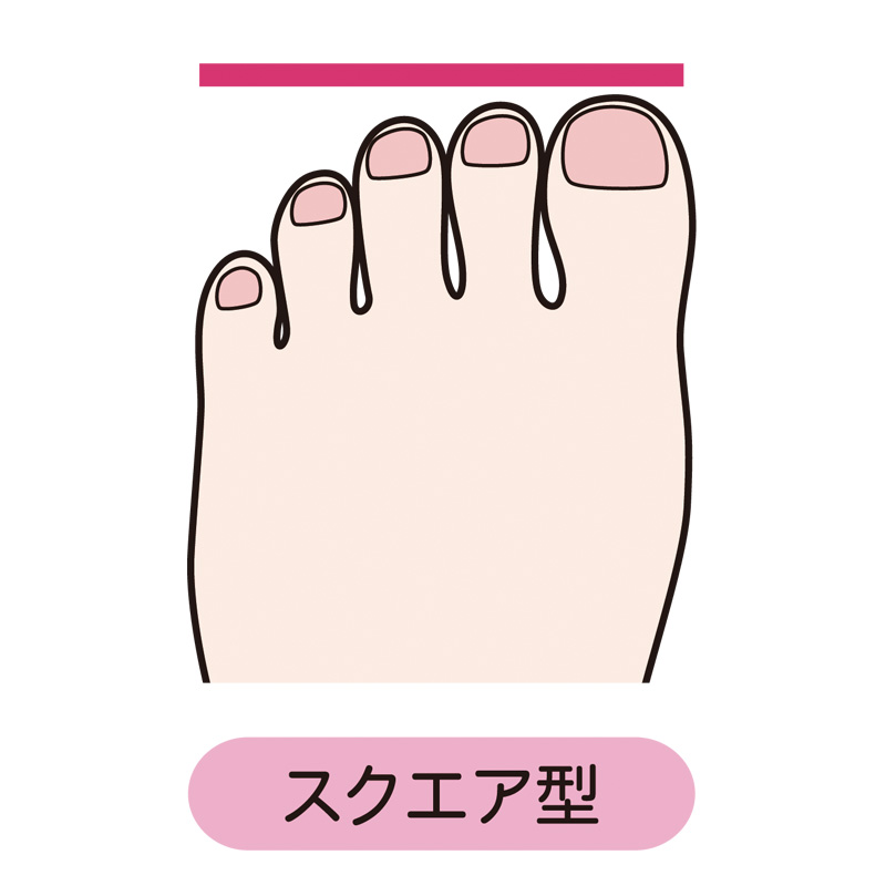 スクエア型の足の解剖図。親指・人差し指・中指の3本がほぼ同じ長さで、指の付け根が一直線に近い足型